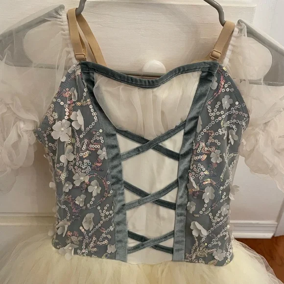 Revolution Cream and Blue Dance Costume with Romantic Tutu - Picture 2 of 6